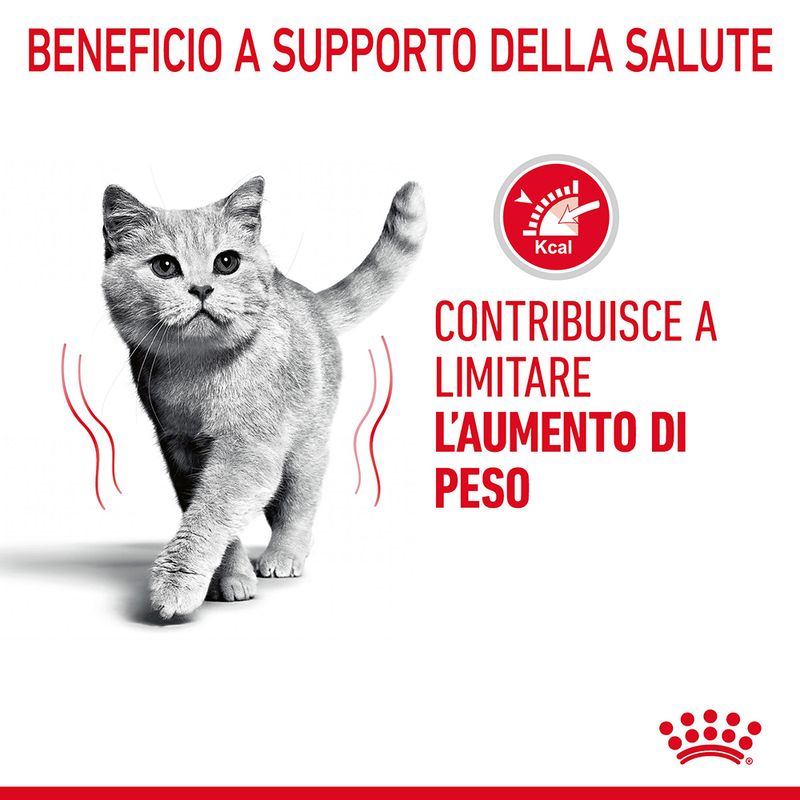 Royal Canin Light Weight Care 400g - Crocchette per Gatti Royal Canin Light Weight Care 400g - Crocchette per Gatti